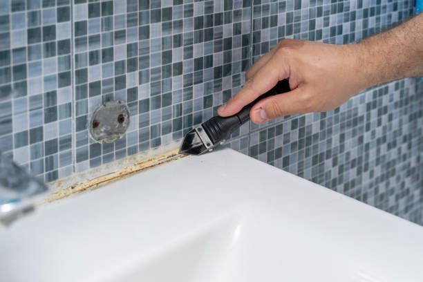Best Mold Cleaning Services  in Windsor, CA